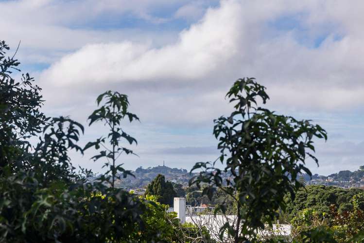 56A Mount Royal Avenue Mount Albert_25