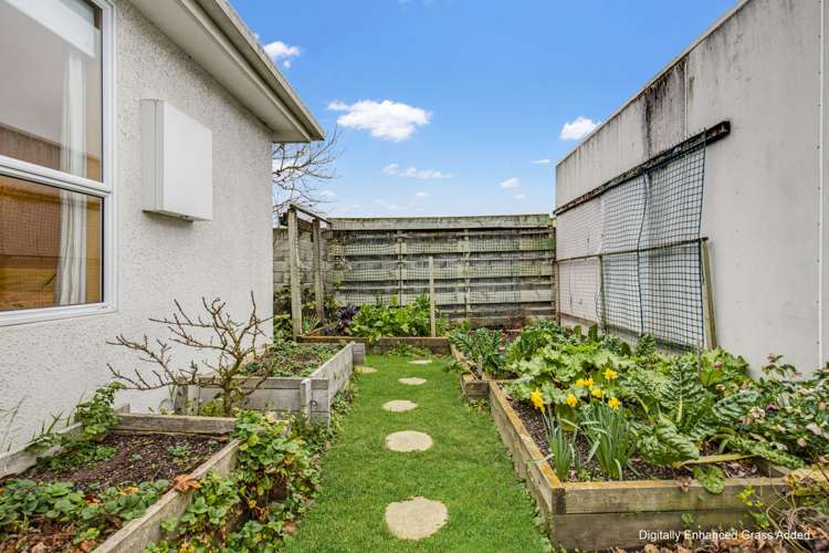 1a Clouston Gardens Springlands_31