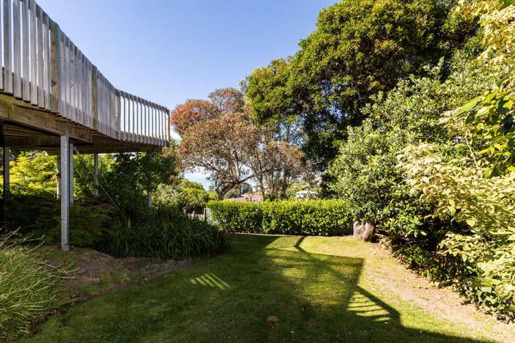 117 Priestley Terrace Bluff Hill_35