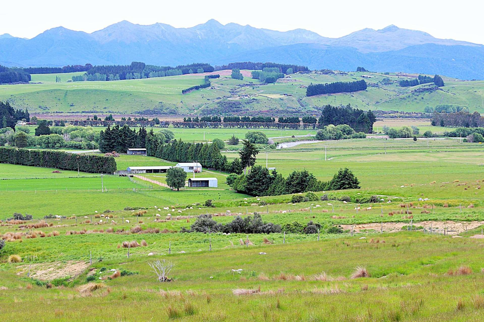 105 Lynwood Road Hillside_0