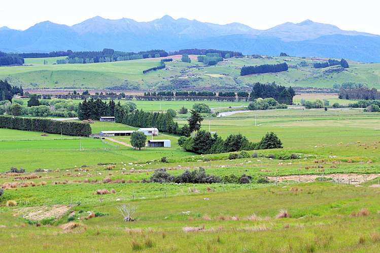 105 Lynwood Road Hillside_0