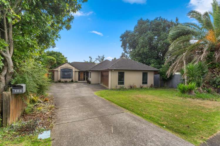 103 O'Connor Drive Pukekohe_3