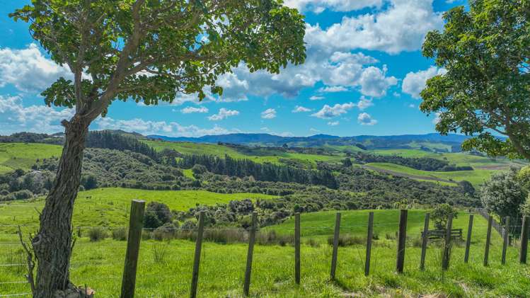 457c Findlay Road Miranda_10