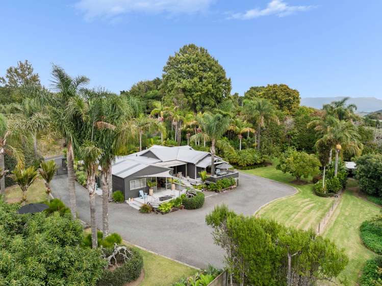 317 Pahoia Road Whakamarama_16