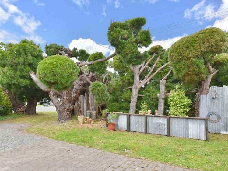 136 Kings Road Leithfield_17