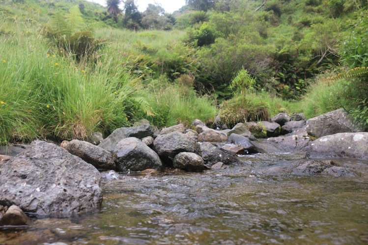 7957 State Highway 2 Opotiki Surrounds_8