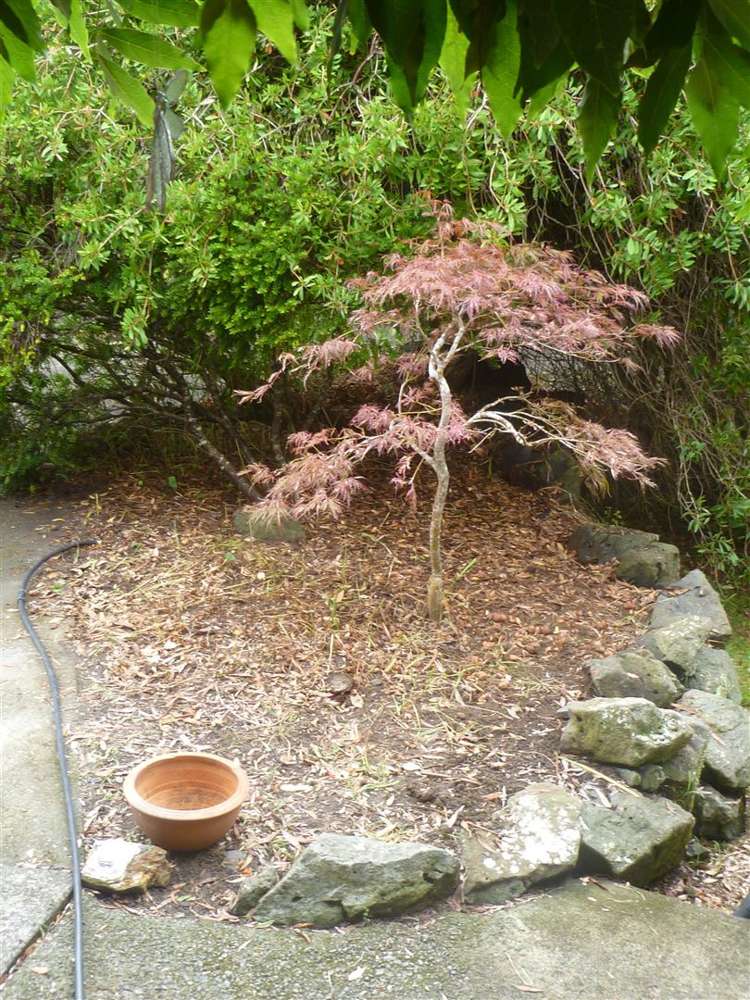 809 Koutu Loop Road Opononi_3