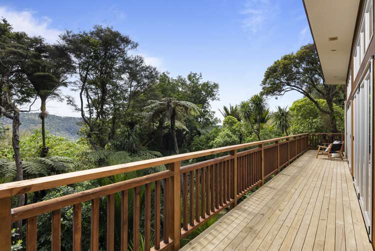 19 Te Aute Ridge Road Waitakere_3
