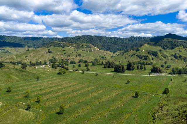 1221 Waitewhena Road Taumarunui_1