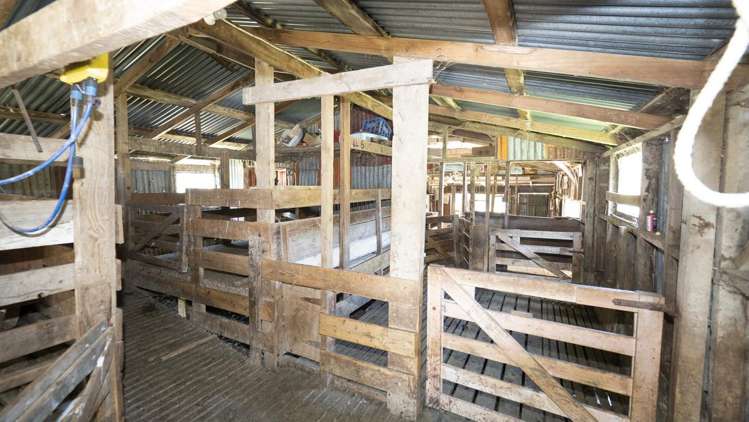 247 South Road, Mauriceville Masterton_16