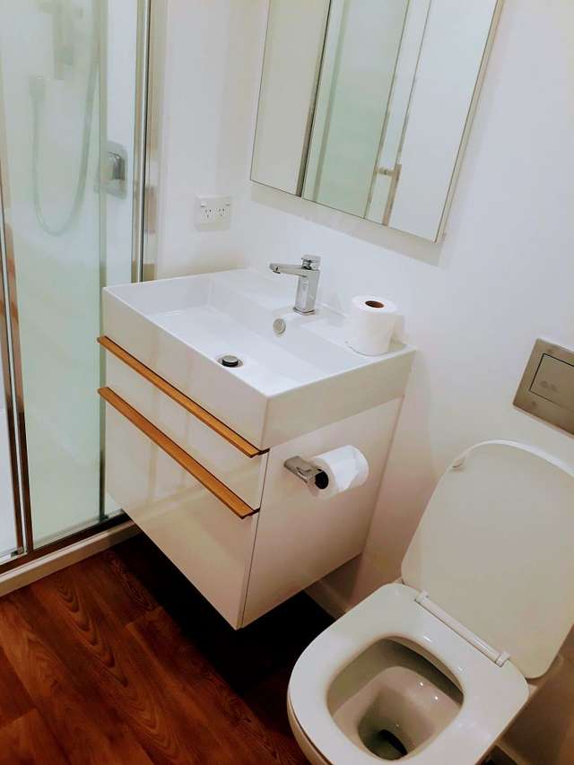 21 Mortimer Terrace Aro Valley_4