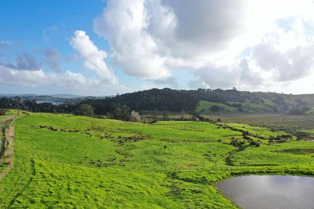 60 Te Pahi River Drive Paparoa_2