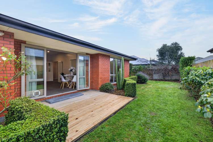 47c Birchfield Avenue Dallington_18