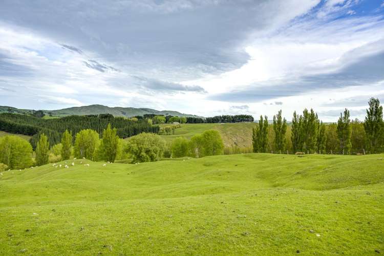 139 Clareinch Road Omakere_26