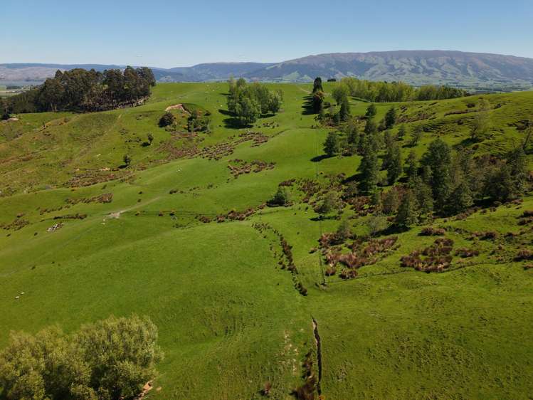 66 Otokia-Kuri Bush Road West Henley_20