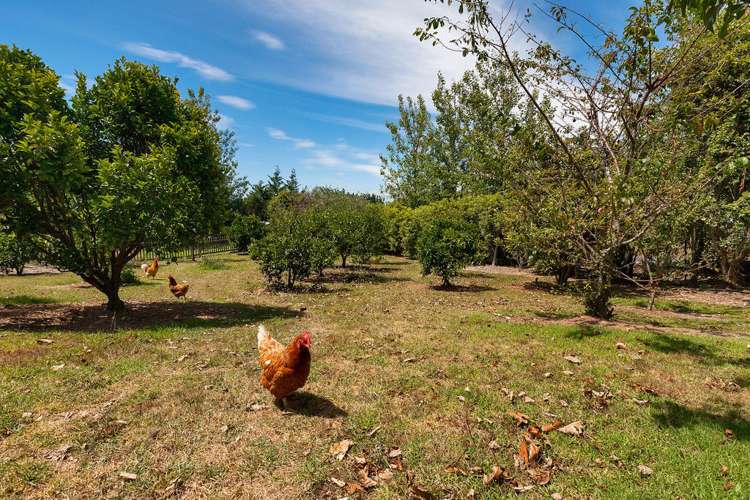 348 Owhiwa Road Parua Bay_28