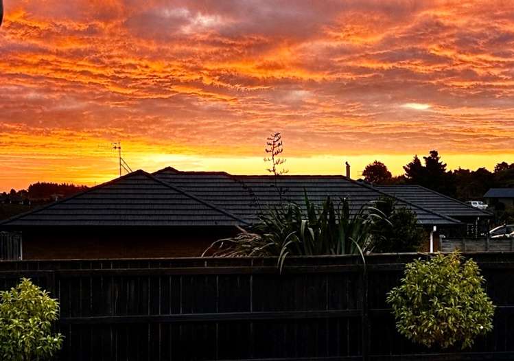 21 Macdonald Heights Feilding_15