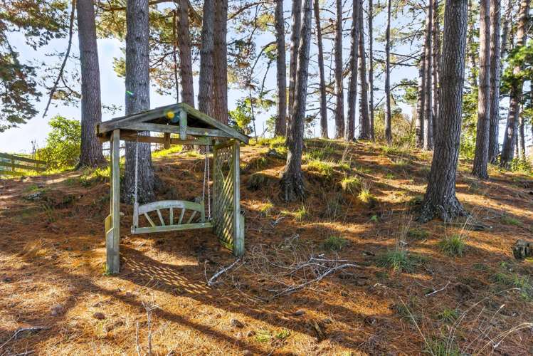 39A The Avenue Levin_37