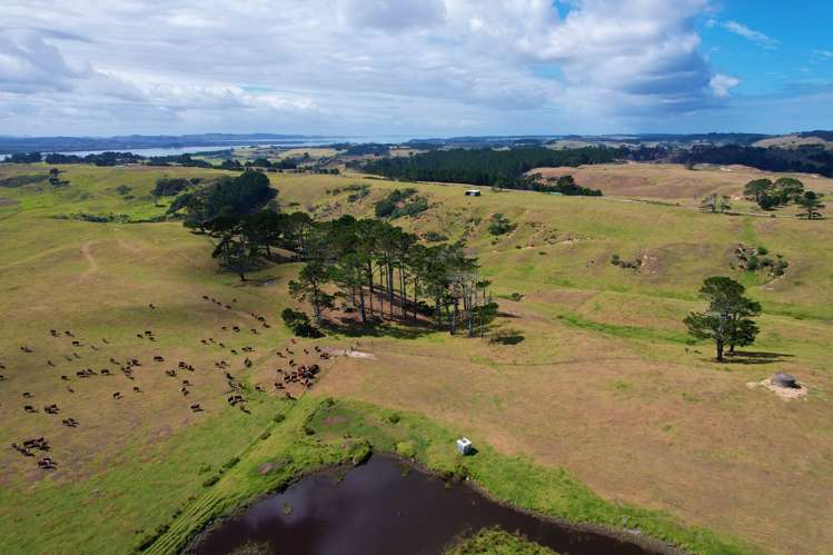 1008 Te Maire Road Te Kopuru_18