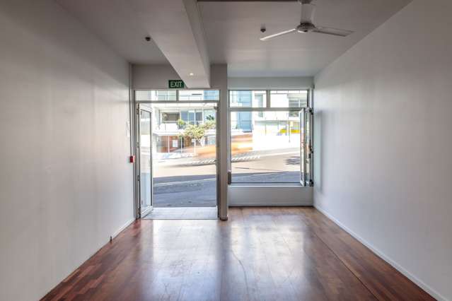 25 College Hill Freemans Bay_3