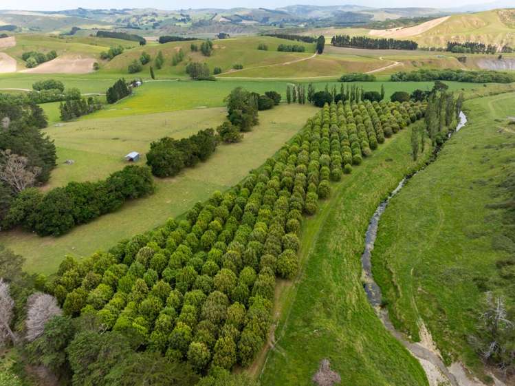 2914 Porangahau Road Central Hawke's Bay Country_25