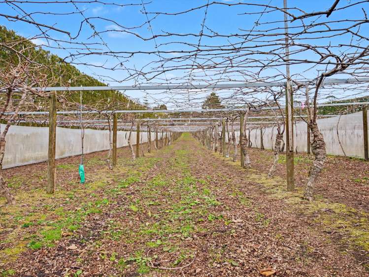 640 Esdaile Road Whakamarama_27