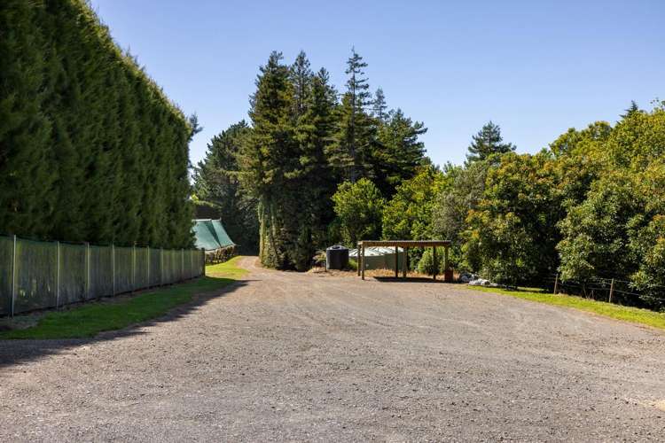 140C Wharawhara Road Tahawai_11