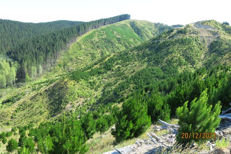 3525 Masterton Castlepoint Road Mangapakeha_9