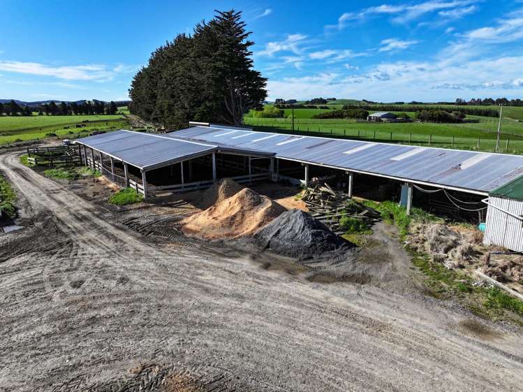 539. Mataura Island Fortrose Road Pine Bush_15