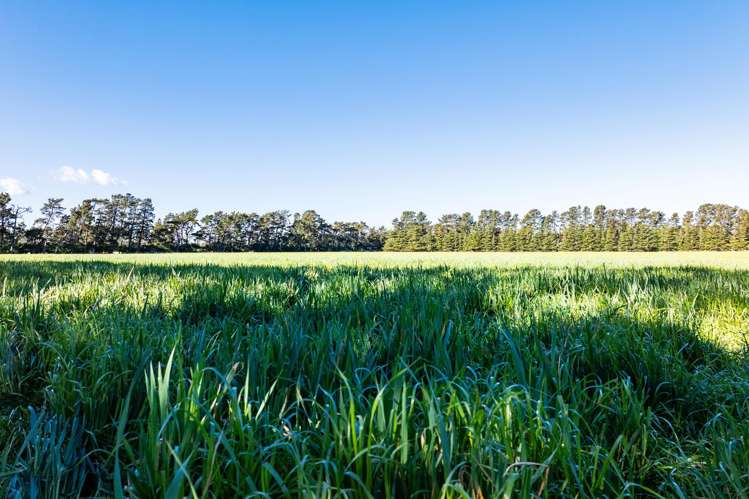 381 Georges Road Waipara_6