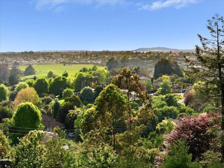 337 Cambridge Road Tauriko_15