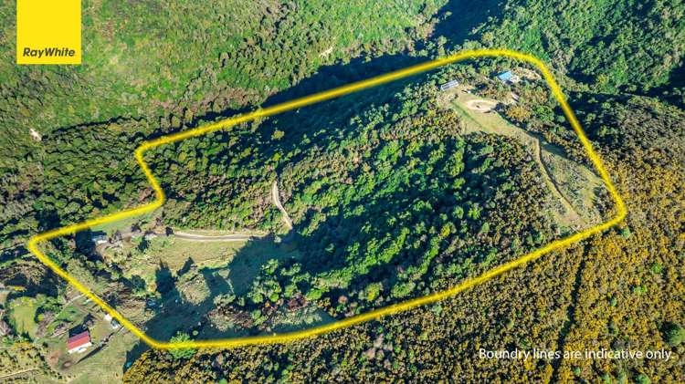 439 Engelbrechts Road Hunter_35