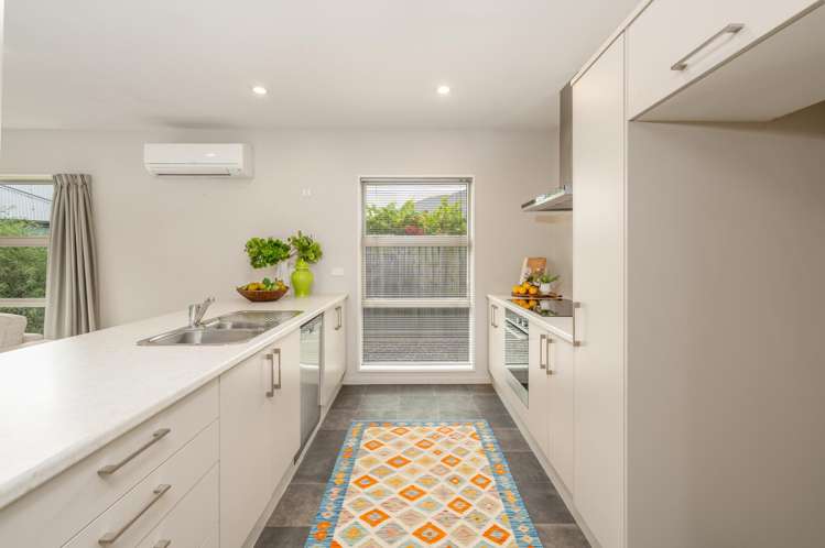 1B Moule Street Addington_6