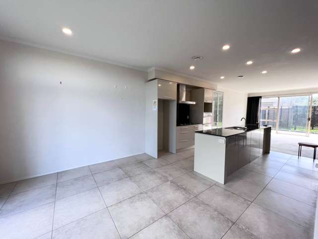 16 Brian Slater Way Stonefields_3