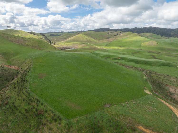 652 Tainui Road Morrinsville_7