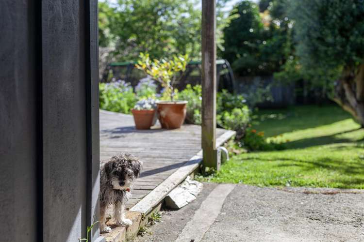 12 Tui Road Raumati Beach_7