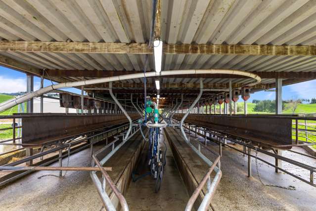 332 Springs Road Reporoa_4