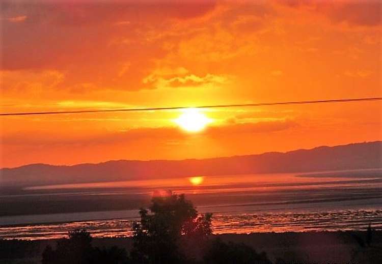 305 Grafton Road Thames_18