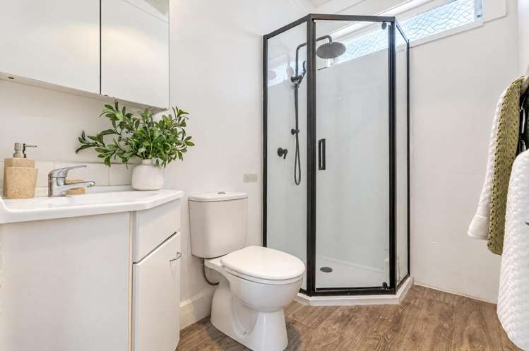 26 Fergusson Avenue Sandringham_8
