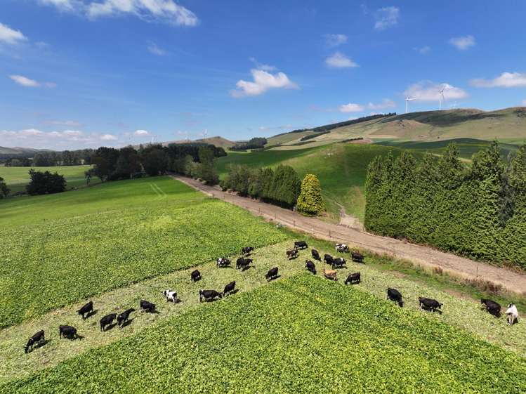 90 Rosemarkie Road Gore_6