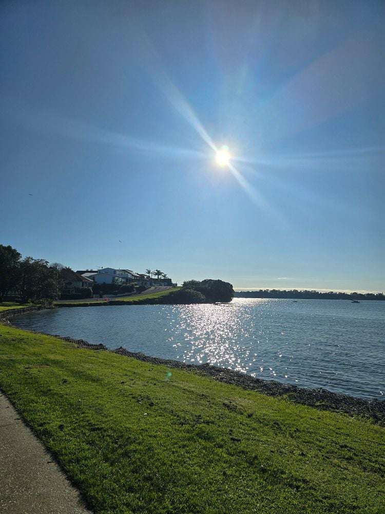 23A Hartland Avenue Glendowie_21