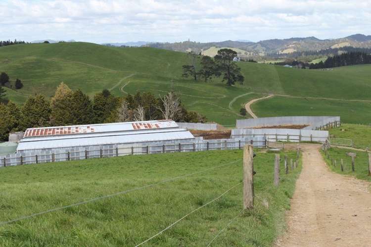 354 Tapuhi Road Hukerenui and Surrounds_6