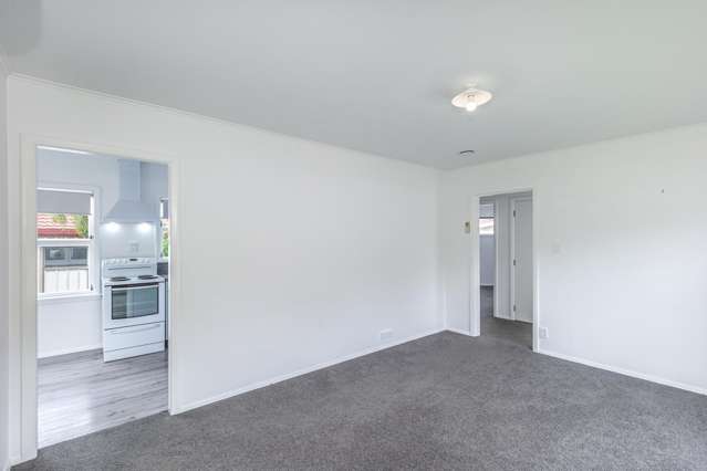 3 Huia Place Levin_1
