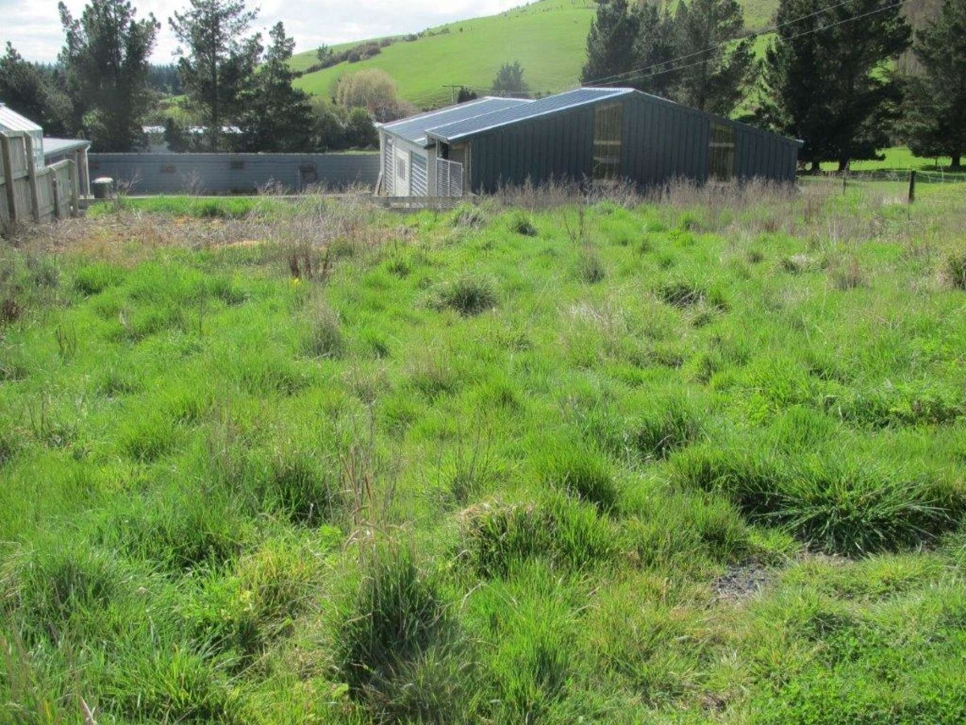 19 George Street Waihola_0