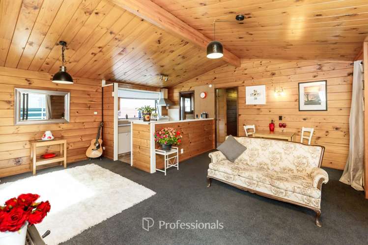 23b Roband Crescent Brown Owl_7