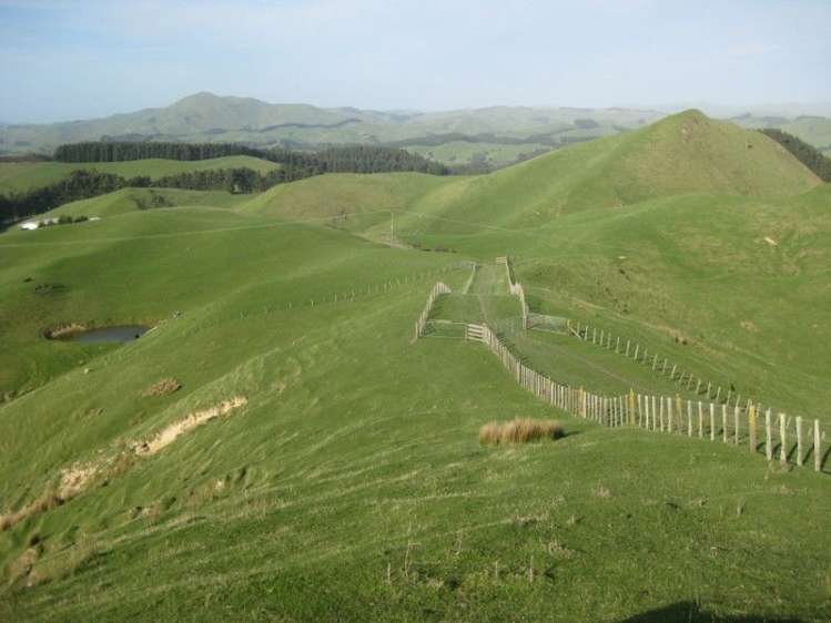 346 Waitahora Road Dannevirke_13