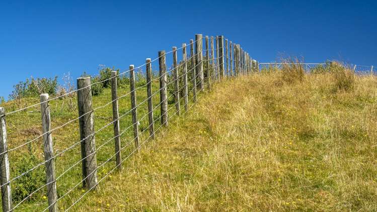 14781 Route 52 Eketahuna_12