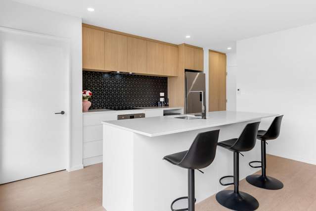 142D Neville Street Spreydon_1