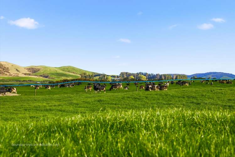 2/1389 Taharua Road Rangitaiki_13