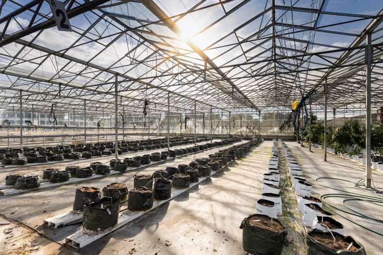 98 Lansdowne Road Richmond_13